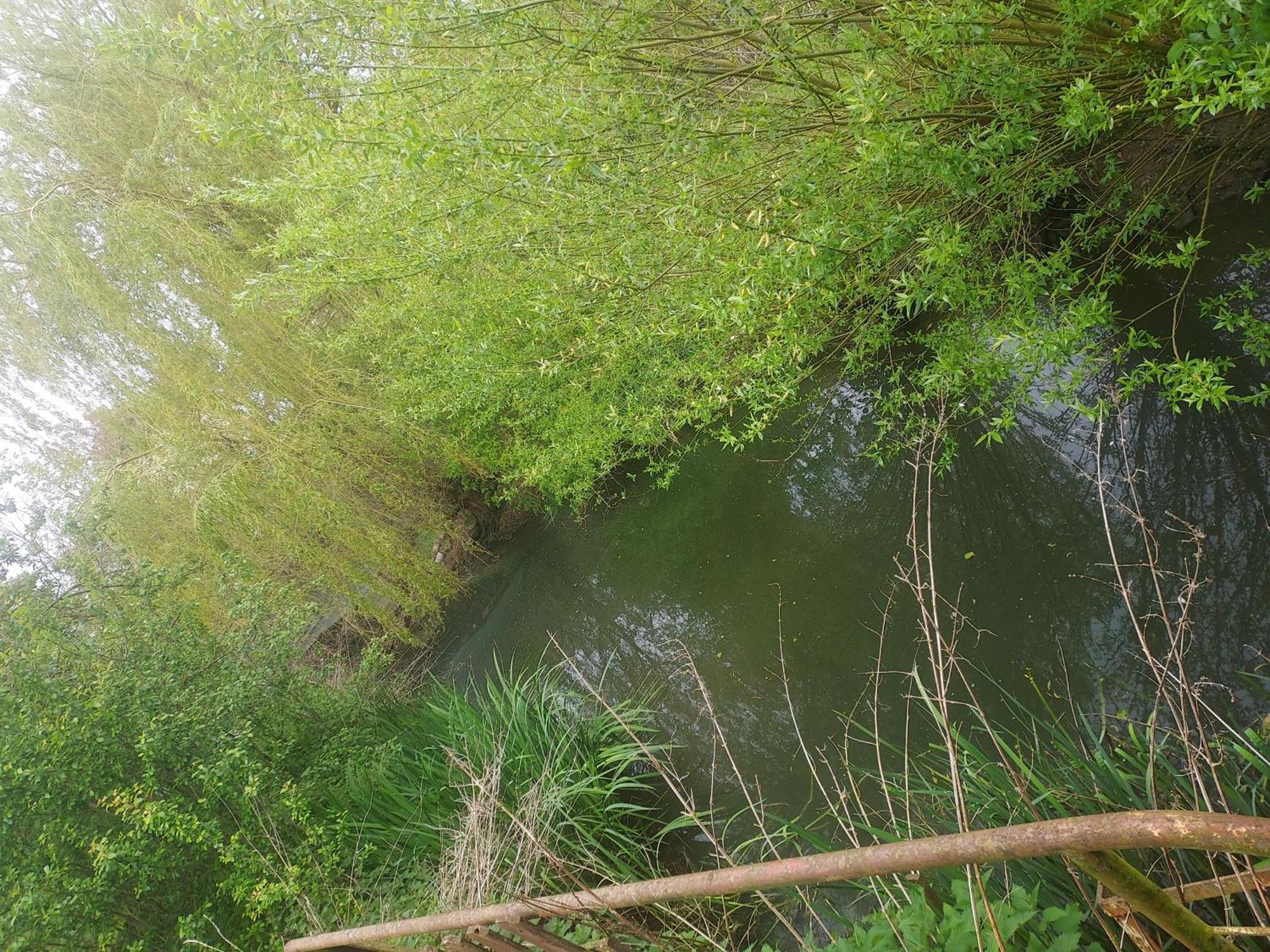 Au Chant Des Grenouilles Patay Dış mekan fotoğraf